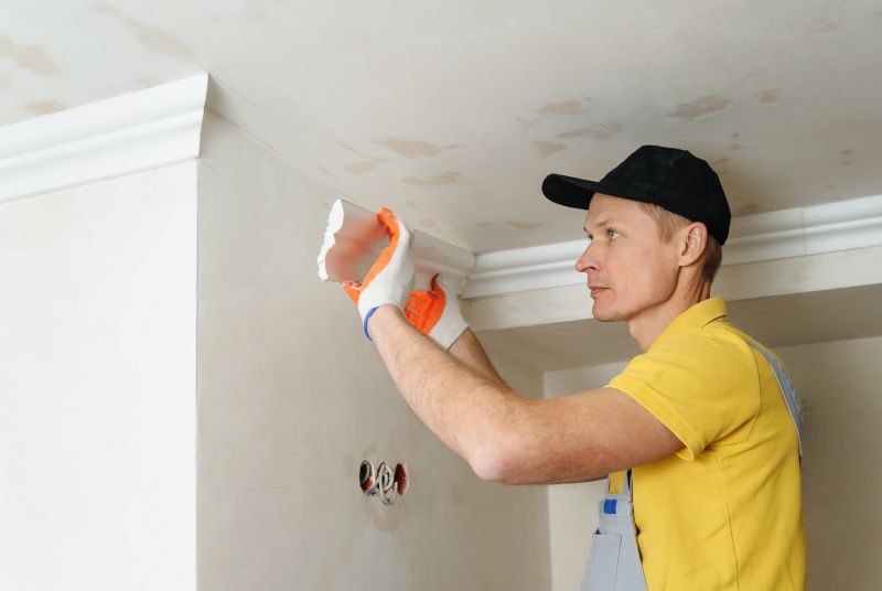 Wall Trim Repair Service detail